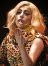 Aries Star Birthday - Lada Gaga