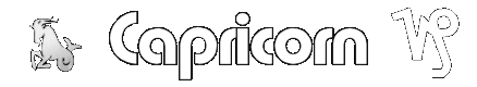 October 2026 Monthly Horoscope for Capricorn